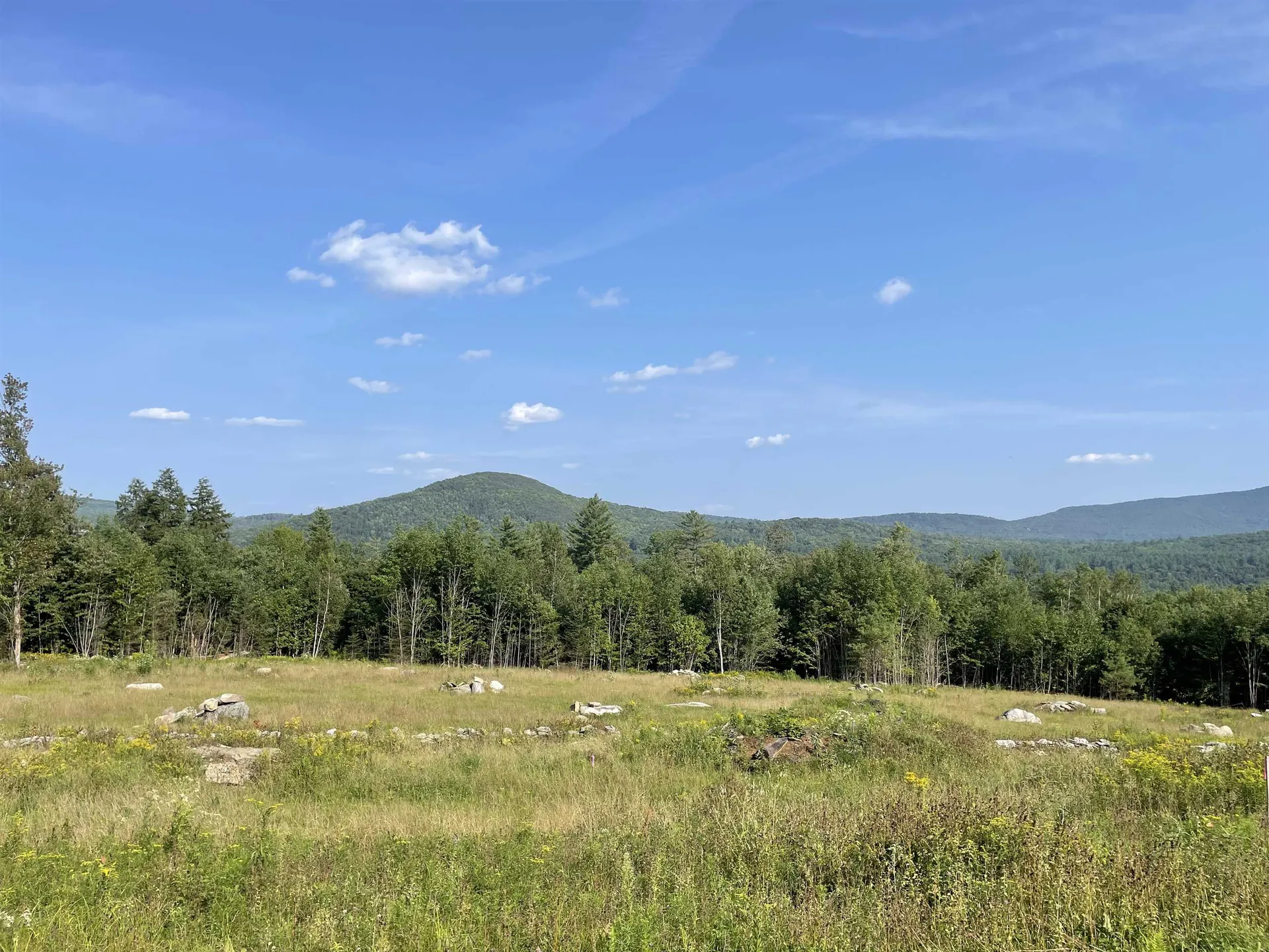 30 Hobart Road Londonderry VT 05148