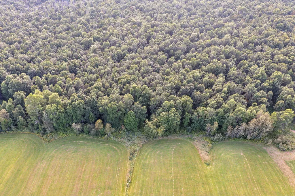 144 Border Road Alburgh VT 05440