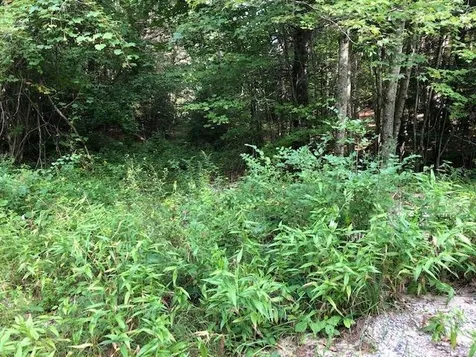 Slip Road Greenfield NH 03047