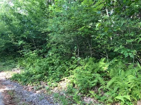 Slip Road Greenfield NH 03047