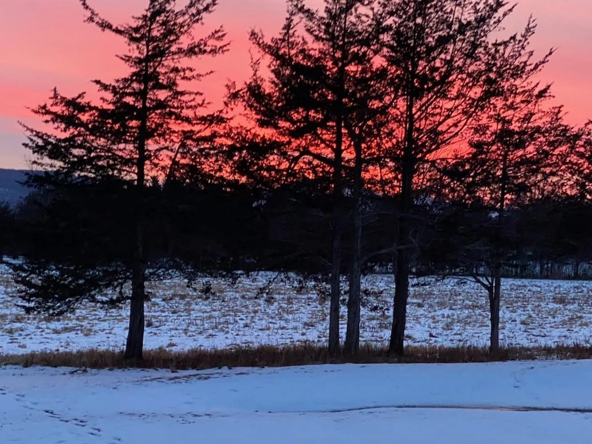 122 Island Farm Road Charlotte VT 05445