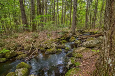 197 Haines Hill Road Wolfeboro NH 03894