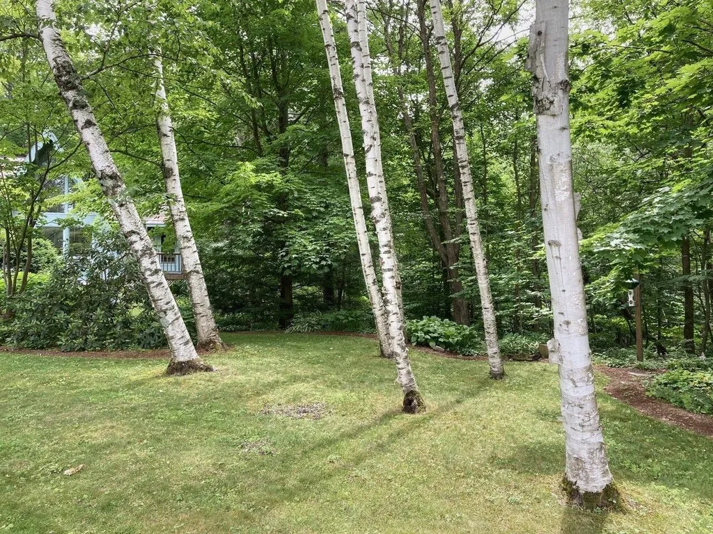 281 Woodbine Road Shelburne VT 05482