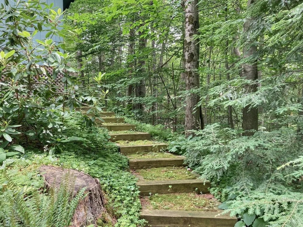 281 Woodbine Road Shelburne VT 05482