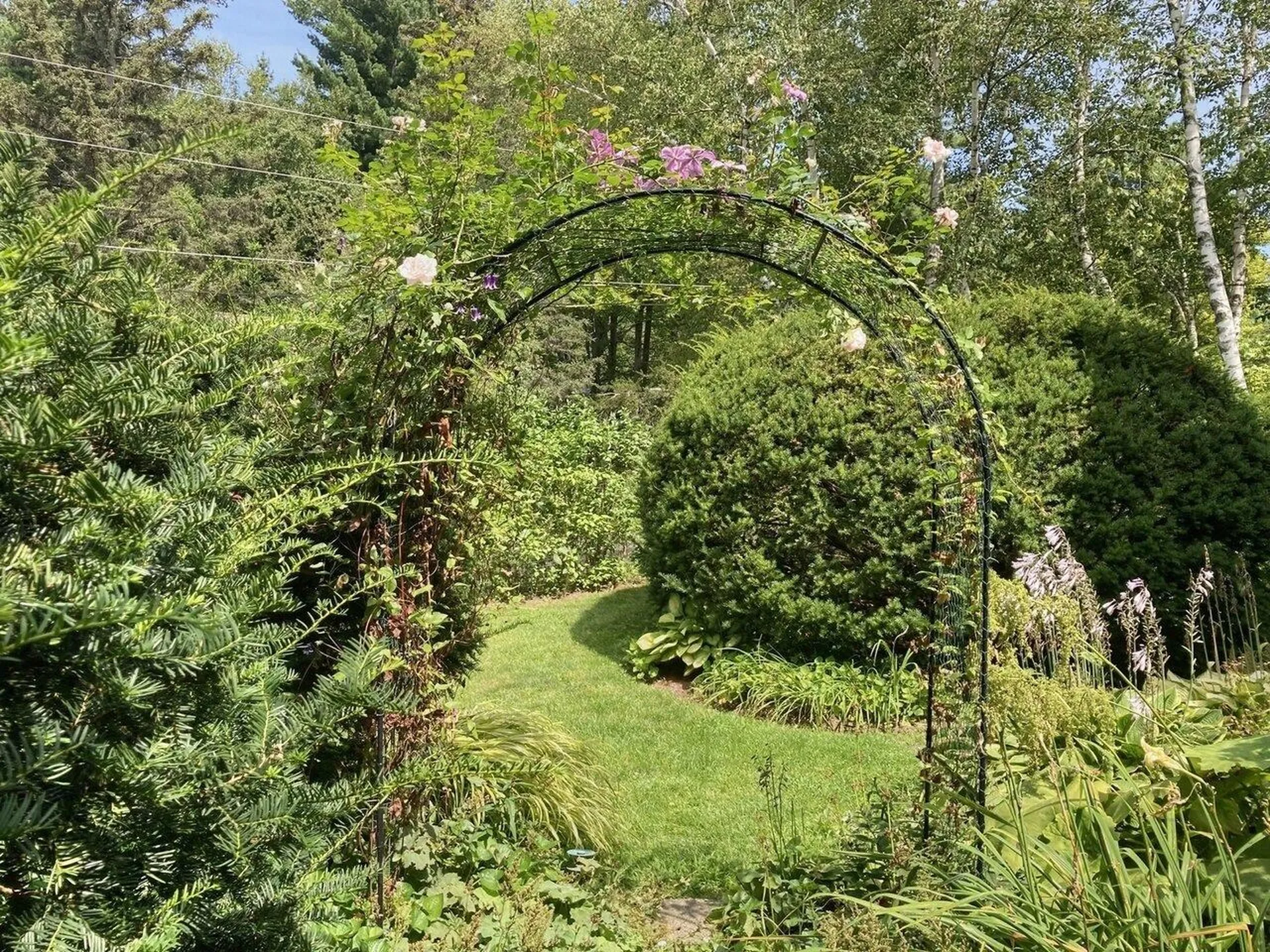 281 Woodbine Road Shelburne VT 05482