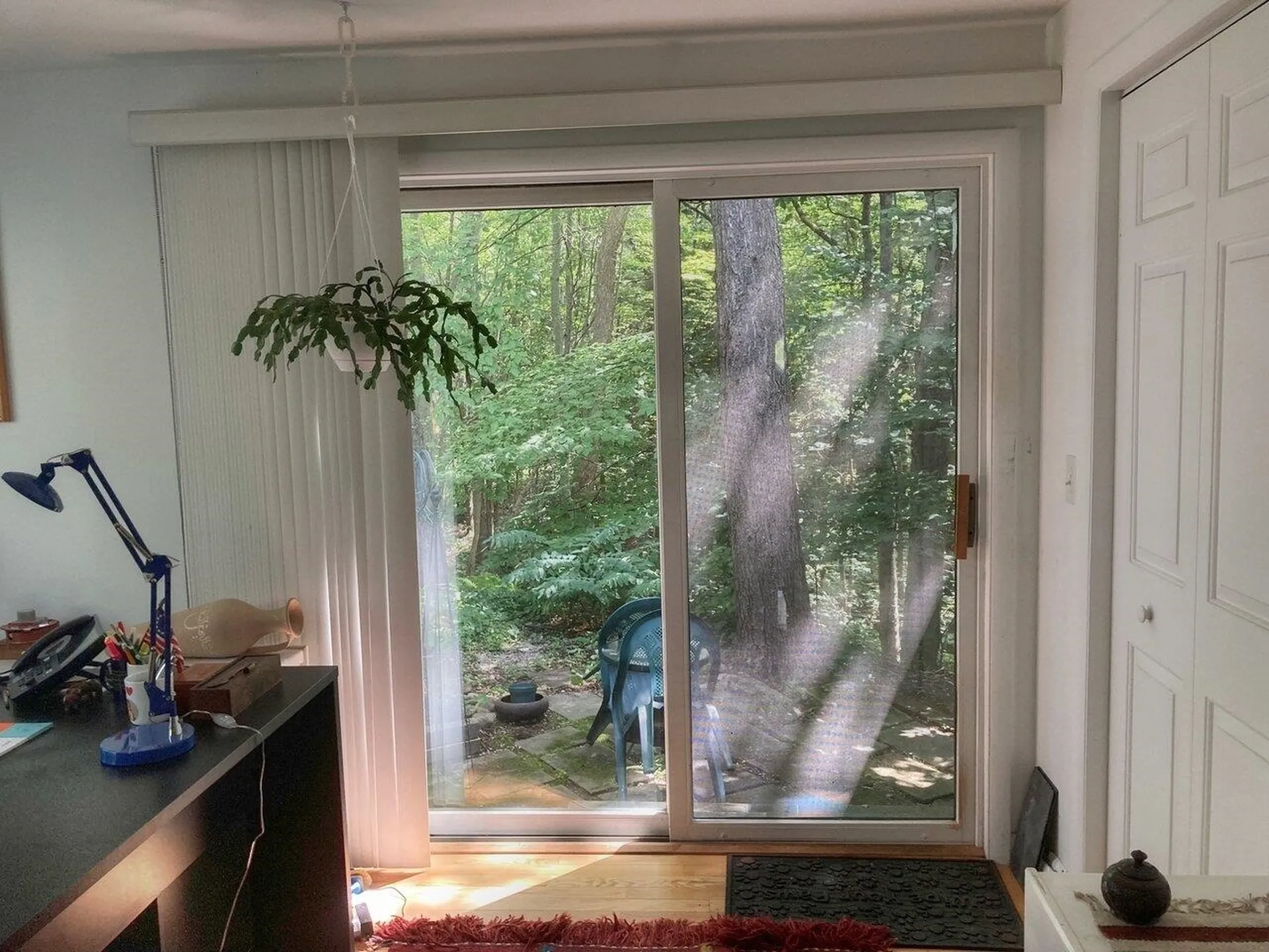 281 Woodbine Road Shelburne VT 05482