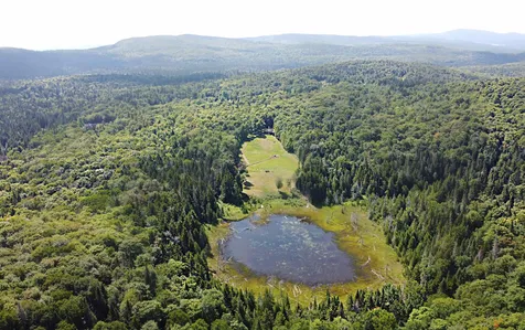 3533 Coles Pond Road Walden VT 05873