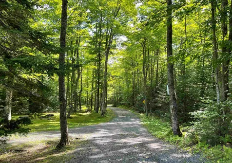 3533 Coles Pond Road Walden VT 05873