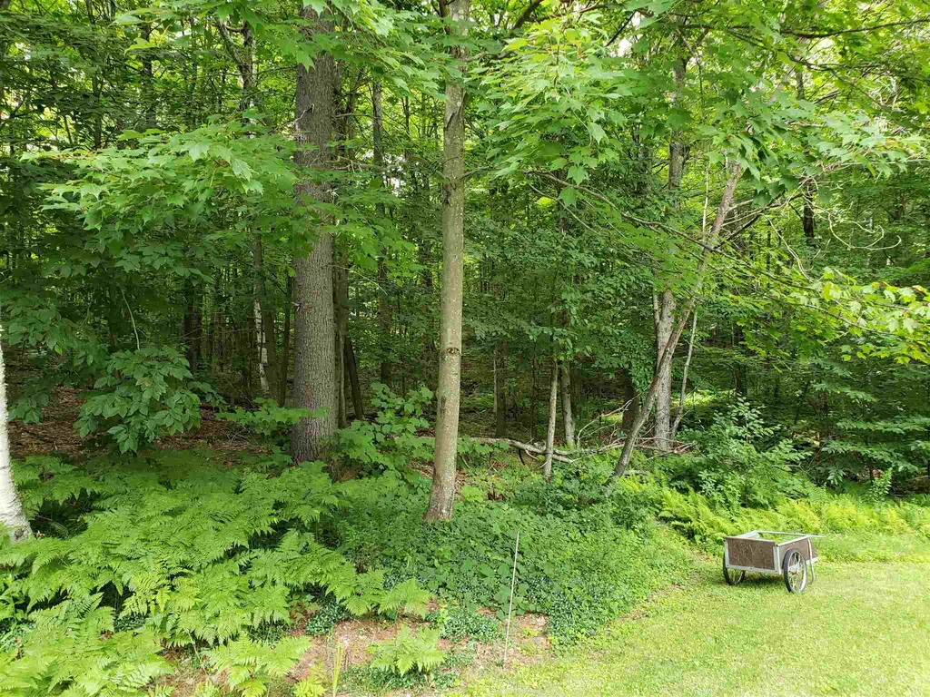 1737 Turnpike Road Norwich VT 05055