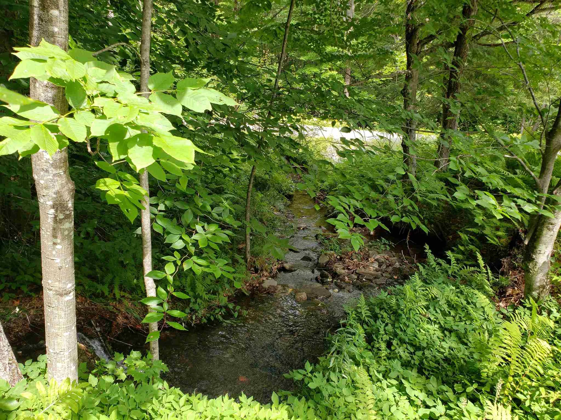 1737 Turnpike Road Norwich VT 05055