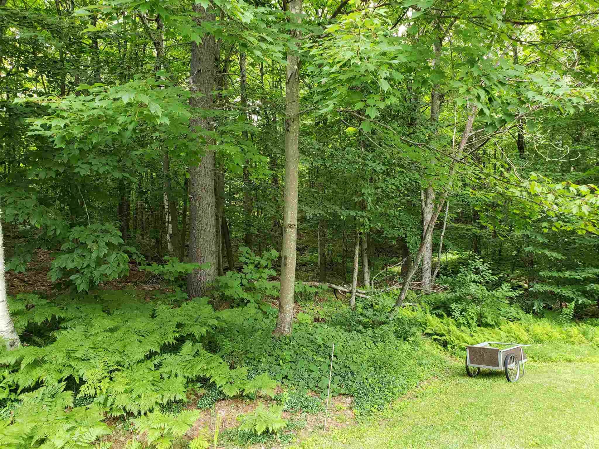 1737 Turnpike Road Norwich VT 05055