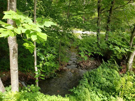 1737 Turnpike Road Norwich VT 05055