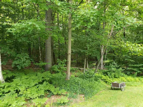 1737 Turnpike Road Norwich VT 05055