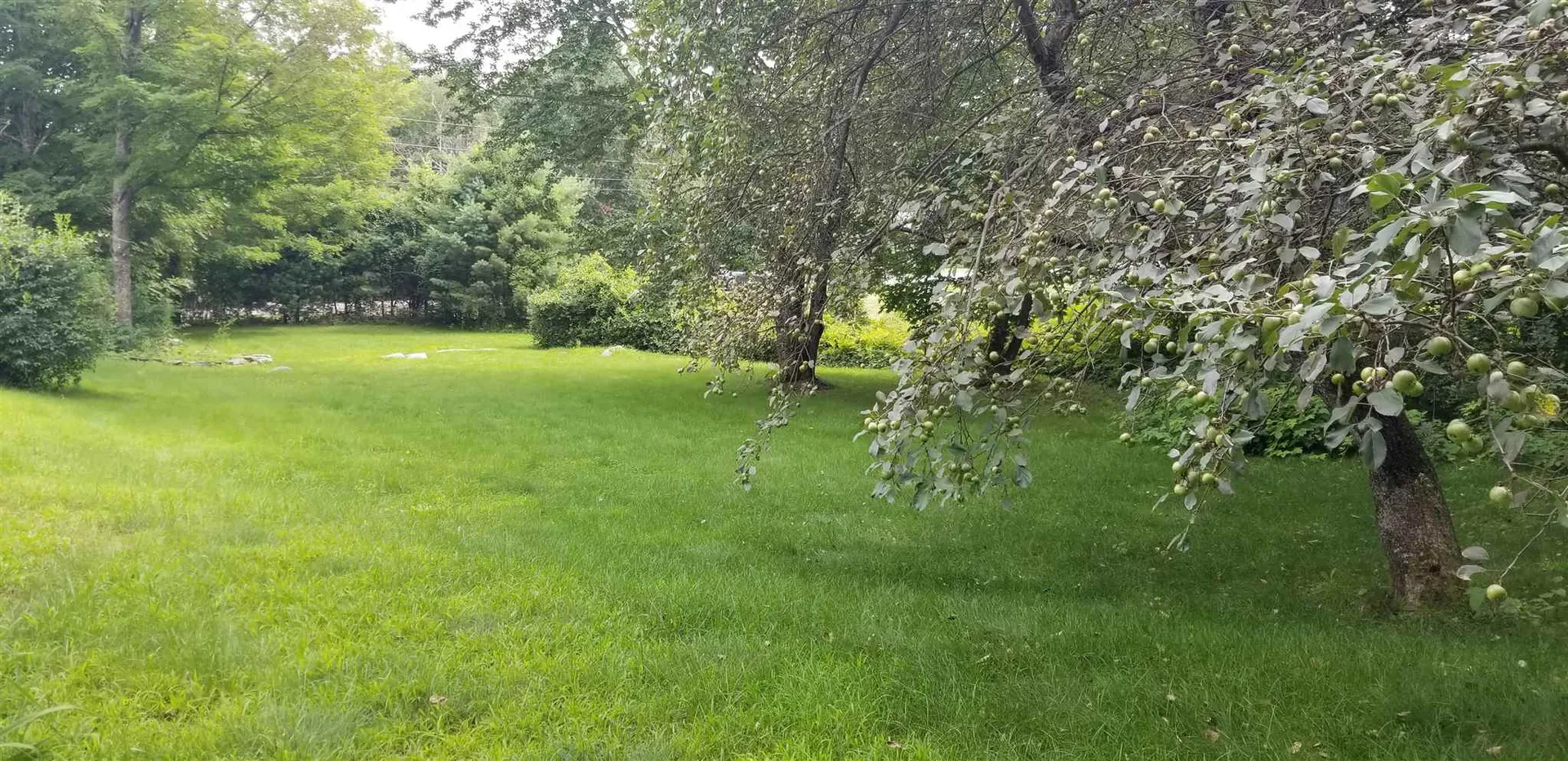 104 Waukewan Road Center Harbor NH 03226
