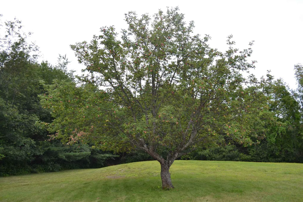 200 Hodgdon Road Northfield NH 03276
