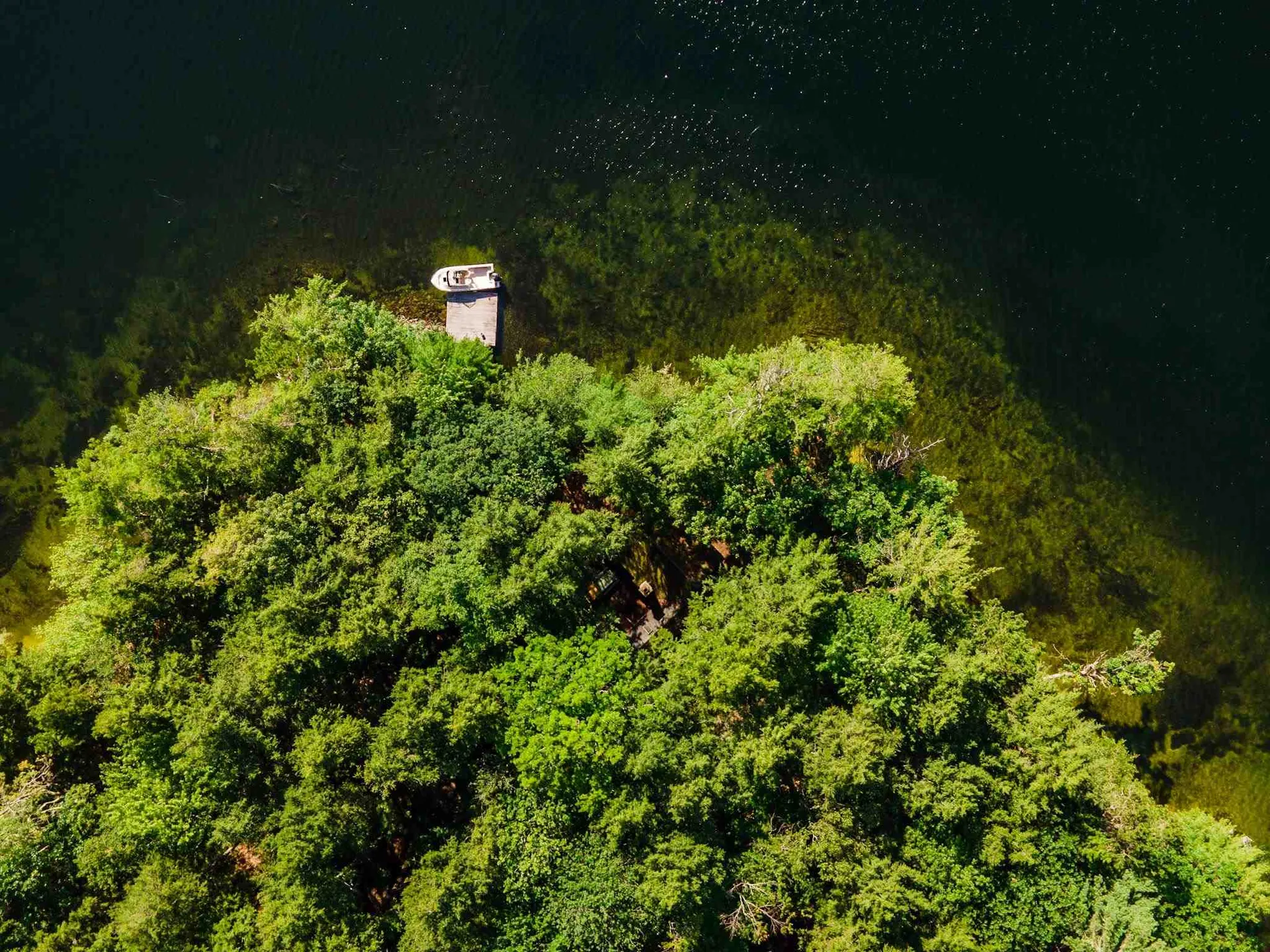 21 Parsons Point Moultonborough NH 03254