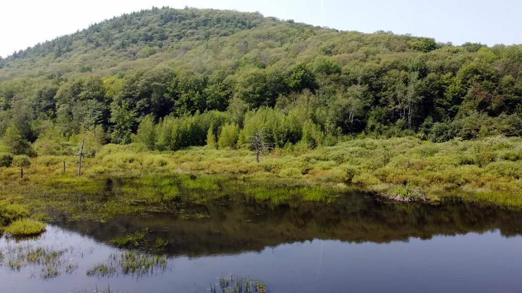 85 Seneca Creek Road Hinesburg VT 05461