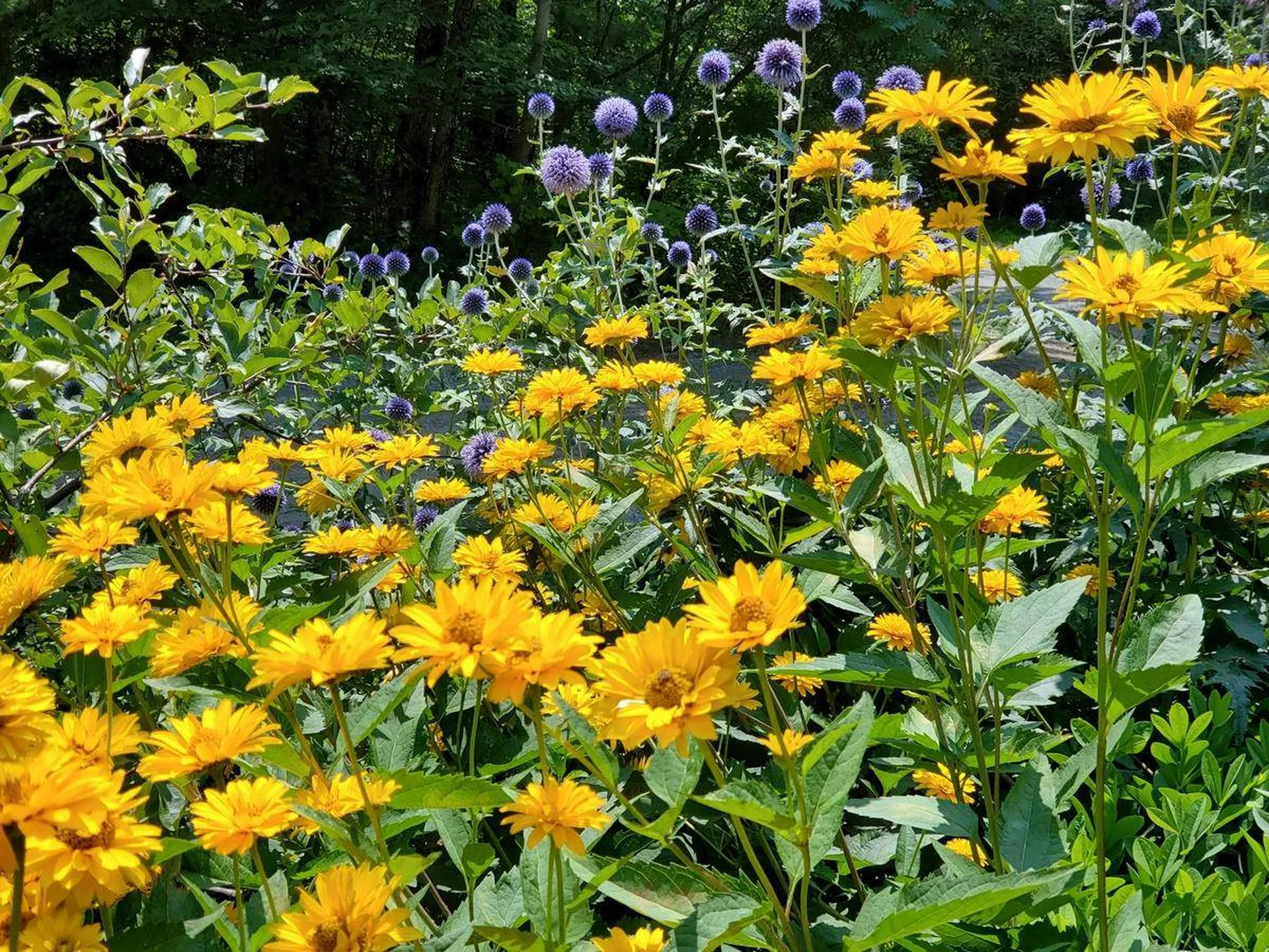 85 Seneca Creek Road Hinesburg VT 05461