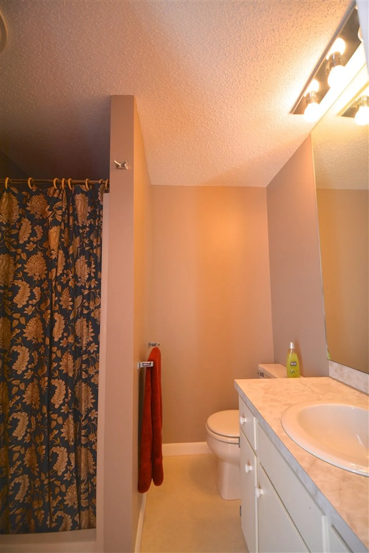 836 Cove Drive Grantham NH 03753