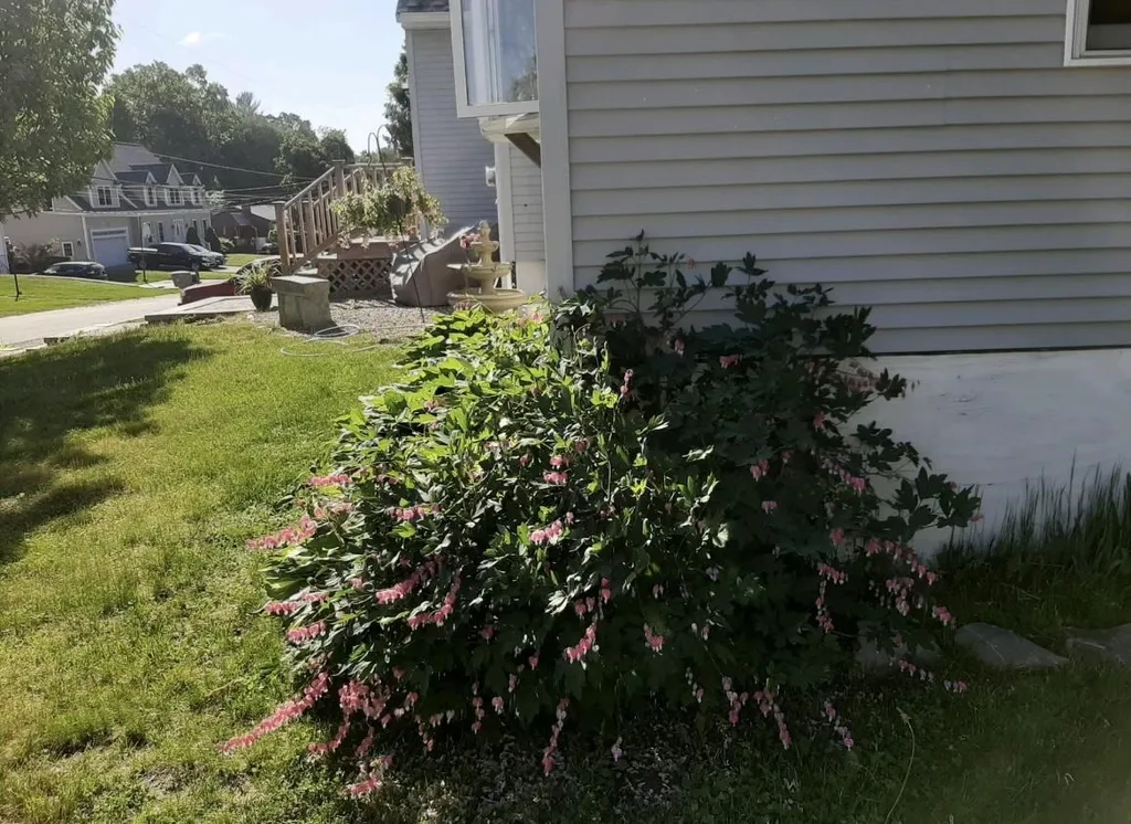 16 Budron Avenue Salem NH 03079