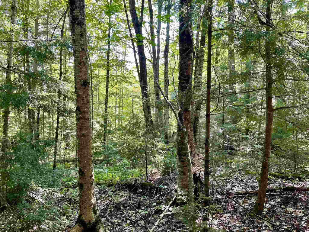 0 Dartmouth Road Haverhill NH 03785