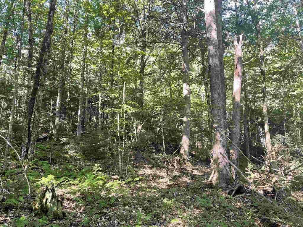 0 Dartmouth Road Haverhill NH 03785