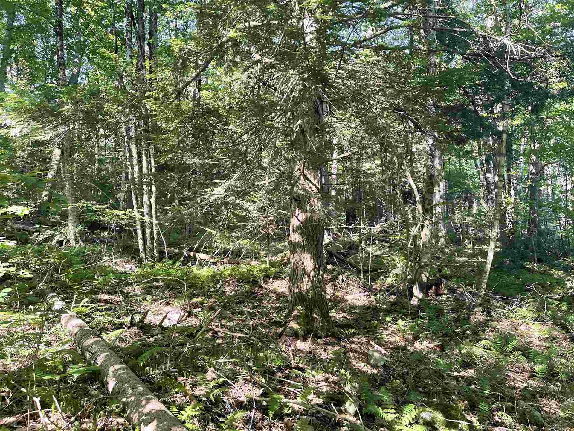 0 Dartmouth Road Haverhill NH 03785