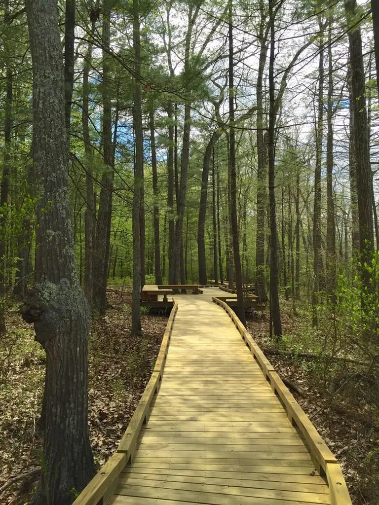 20 Jana Lane Stratham NH 03885