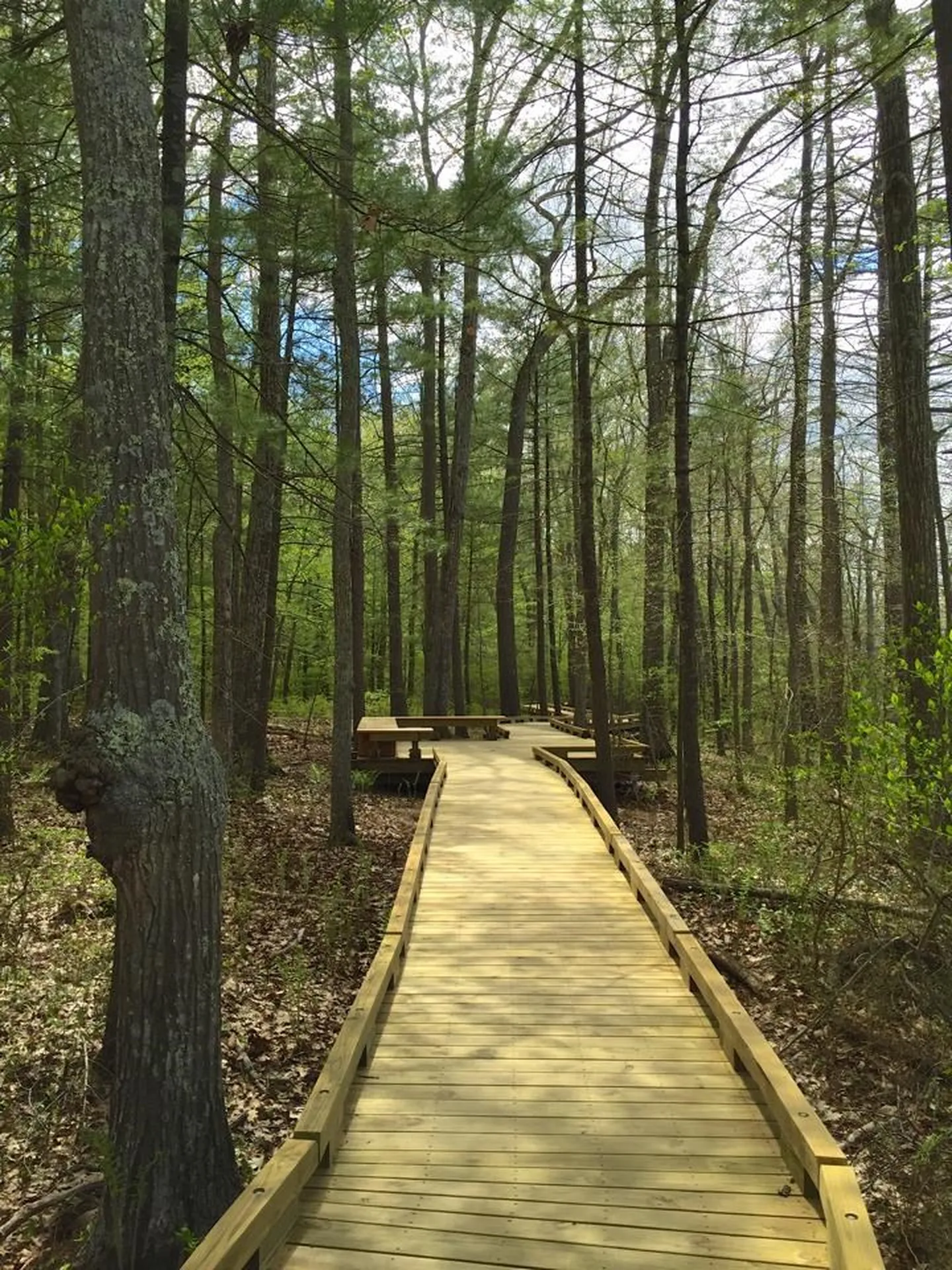 20 Jana Lane Stratham NH 03885