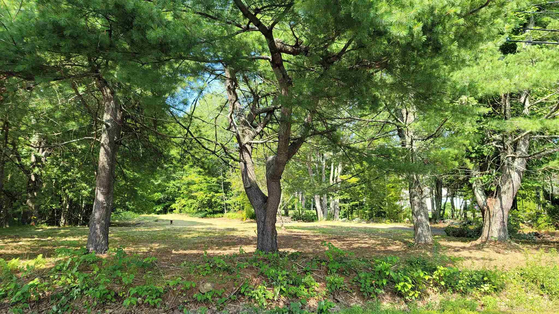 105 Loudon Road Pittsfield NH 03263
