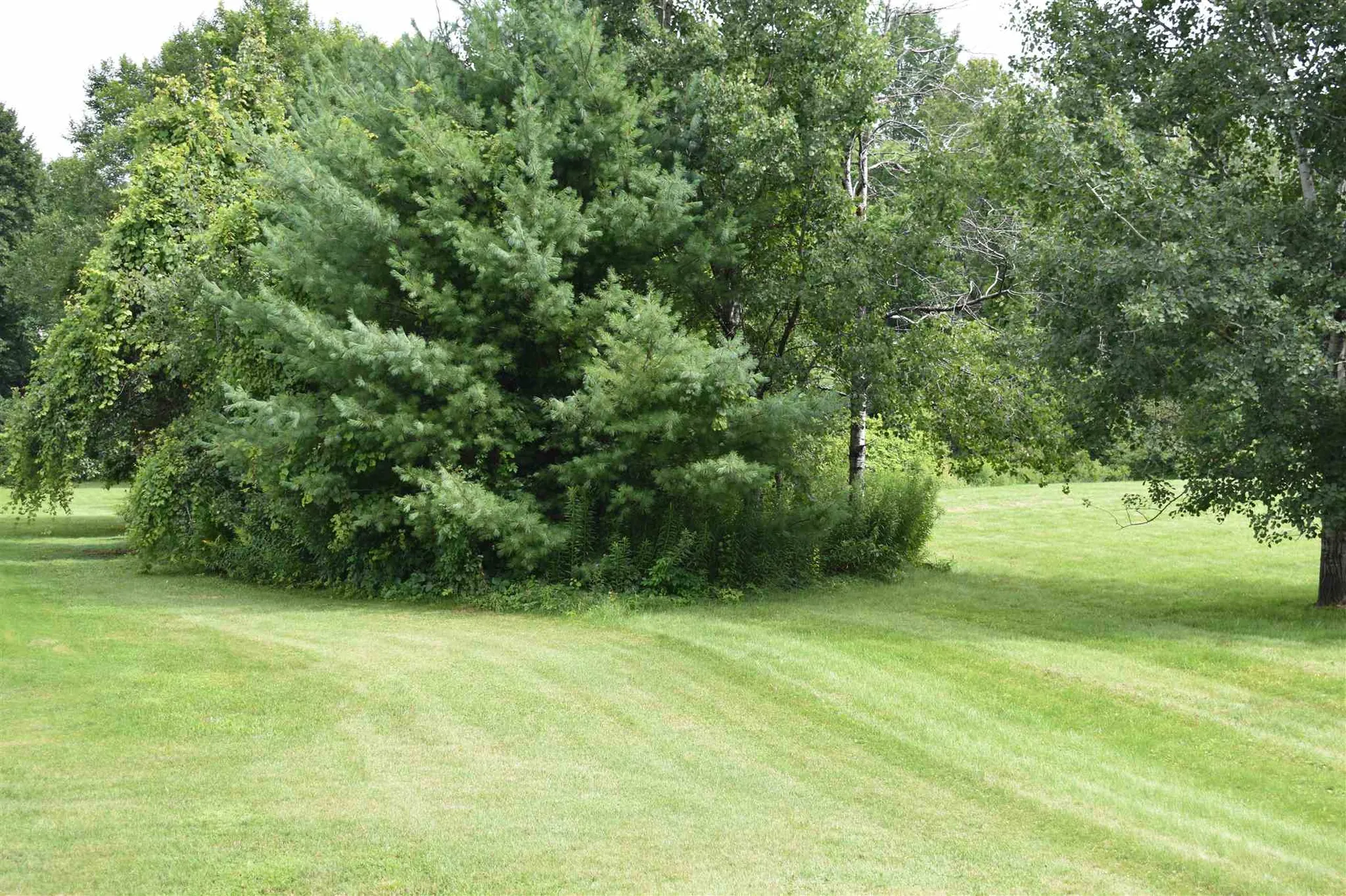 Riverside Drive Lebanon NH 03766