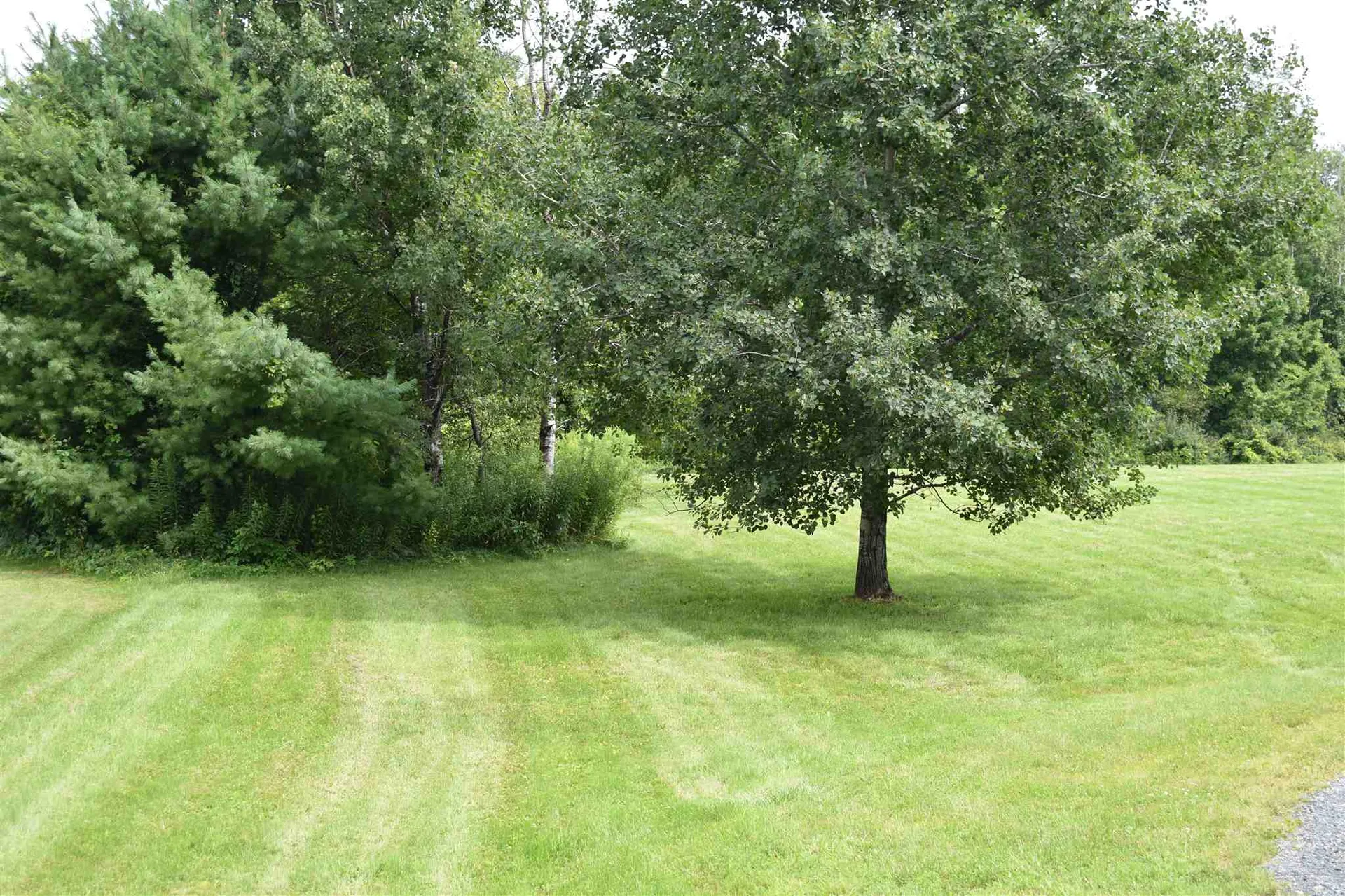 Riverside Drive Lebanon NH 03766