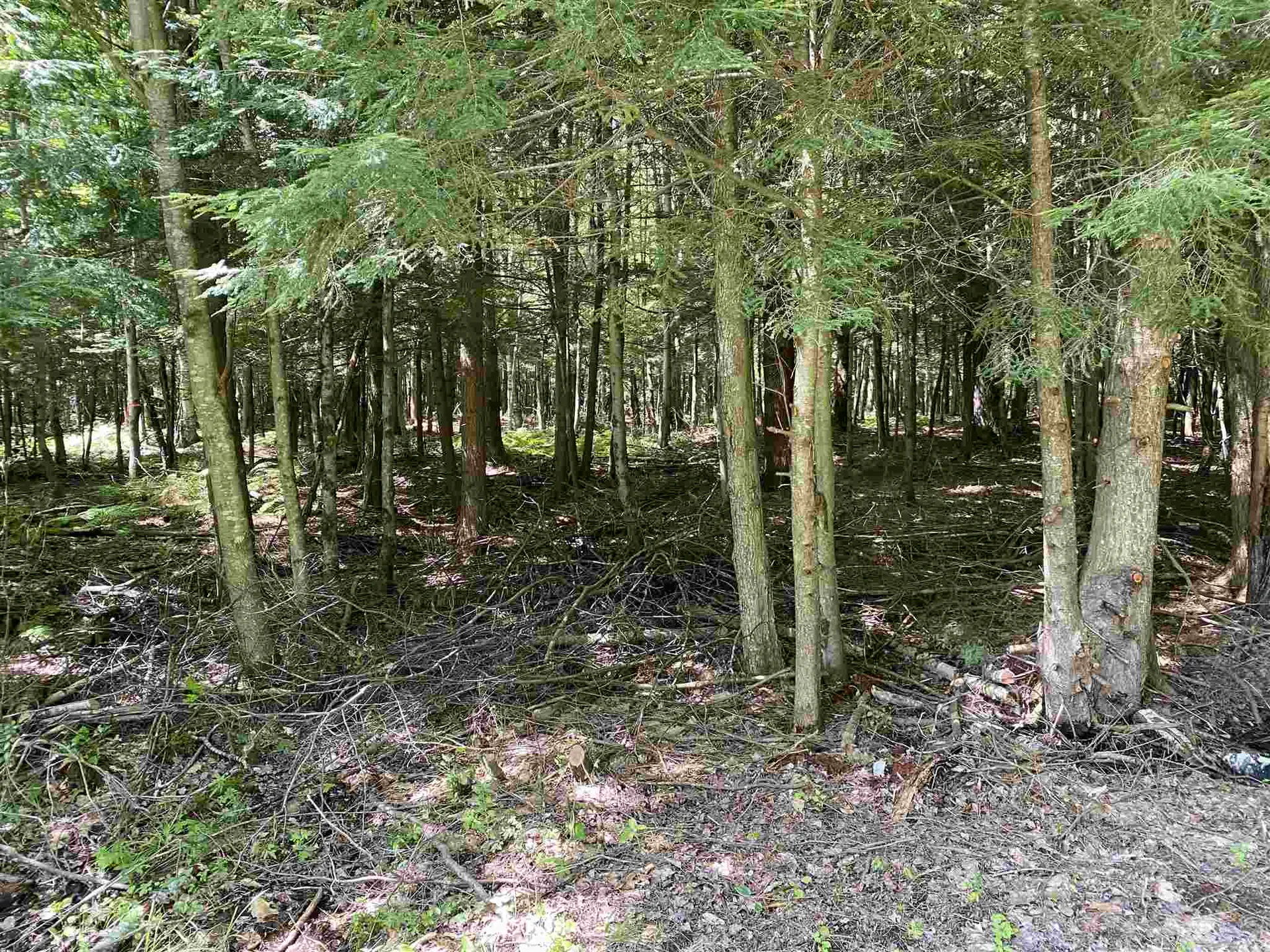 231 Hardy Hill Road Lebanon NH 03766