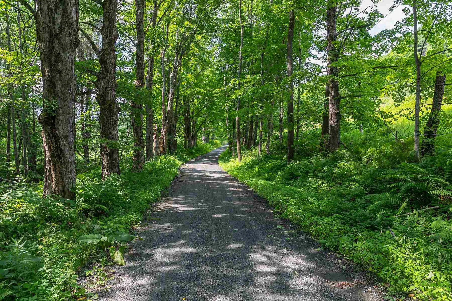 131 Bernard Road Pomfret VT 05053