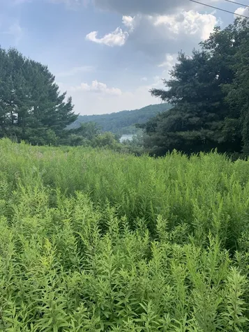 00 Velie Avenue Barre Town VT 05641