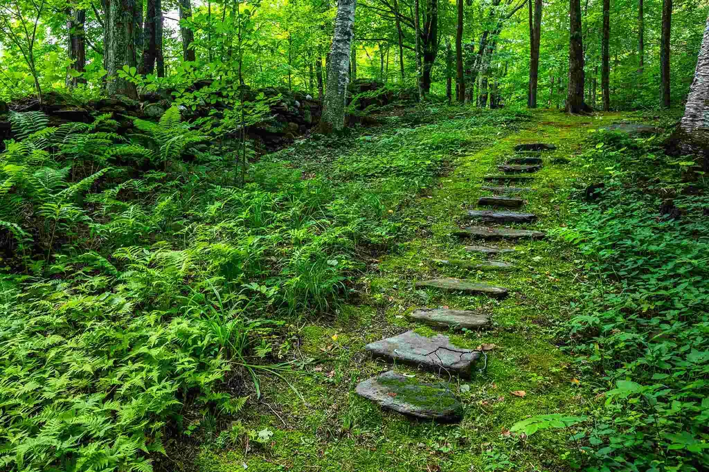 472 Greengate Road Barnard VT 05031