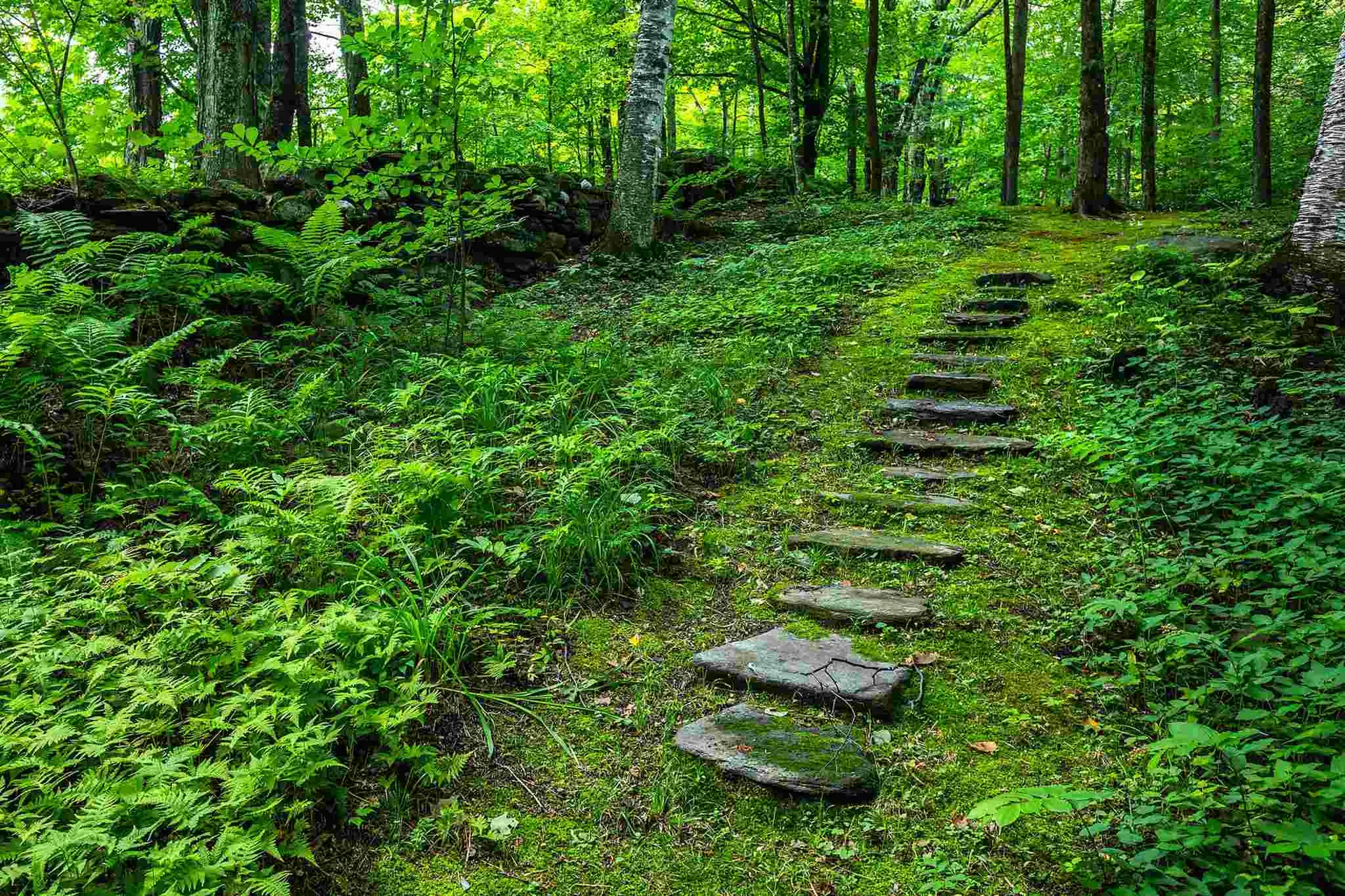 472 Greengate Road Barnard VT 05031