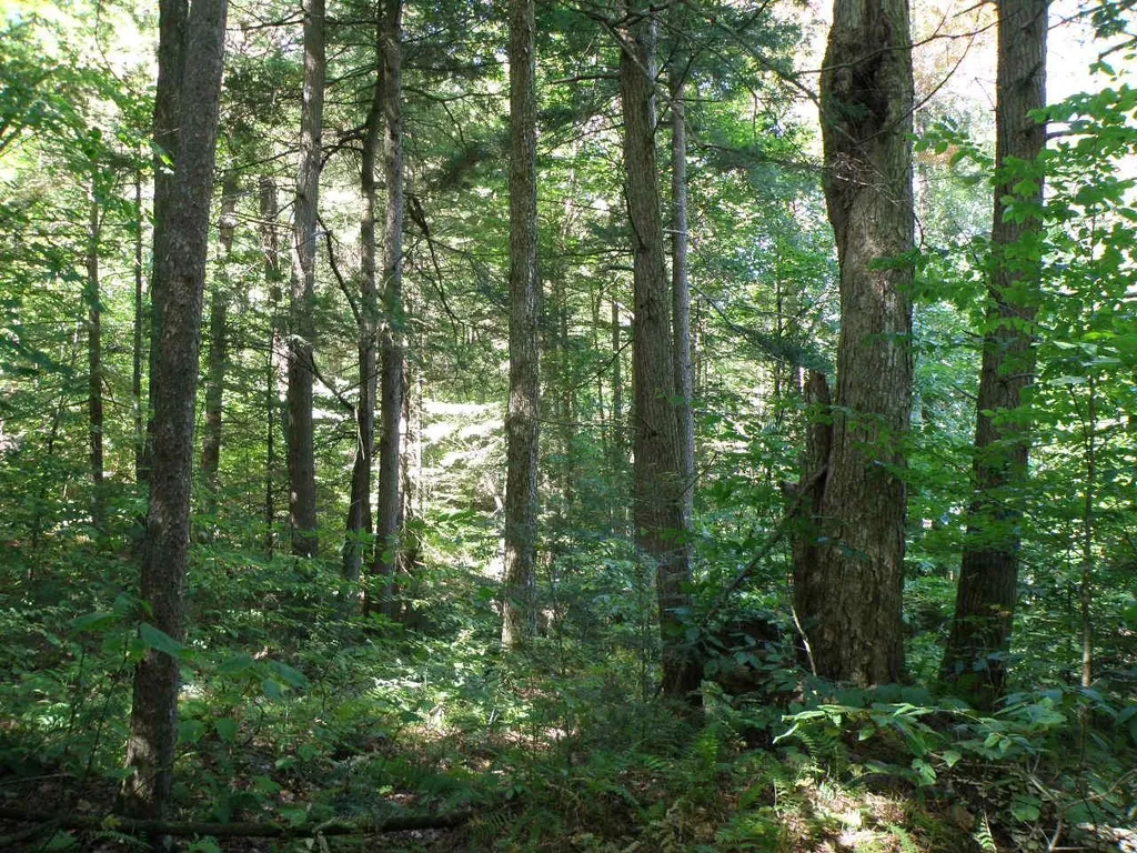 0 Old Stage Road Bethel VT 05032