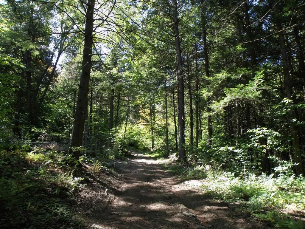 0 Old Stage Road Bethel VT 05032