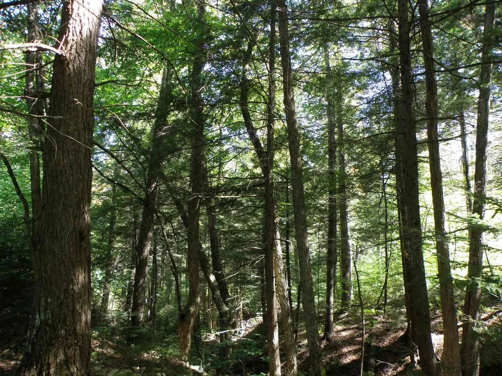 0 Old Stage Road Bethel VT 05032