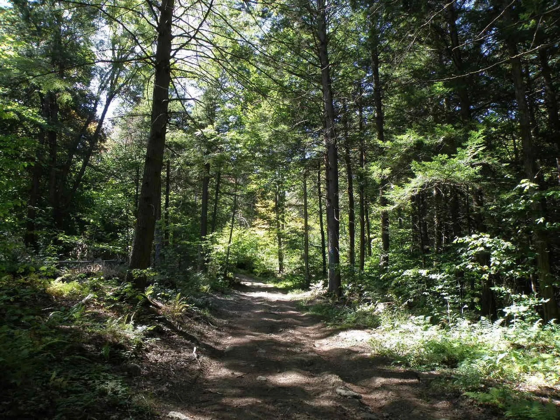 0 Old Stage Road Bethel VT 05032