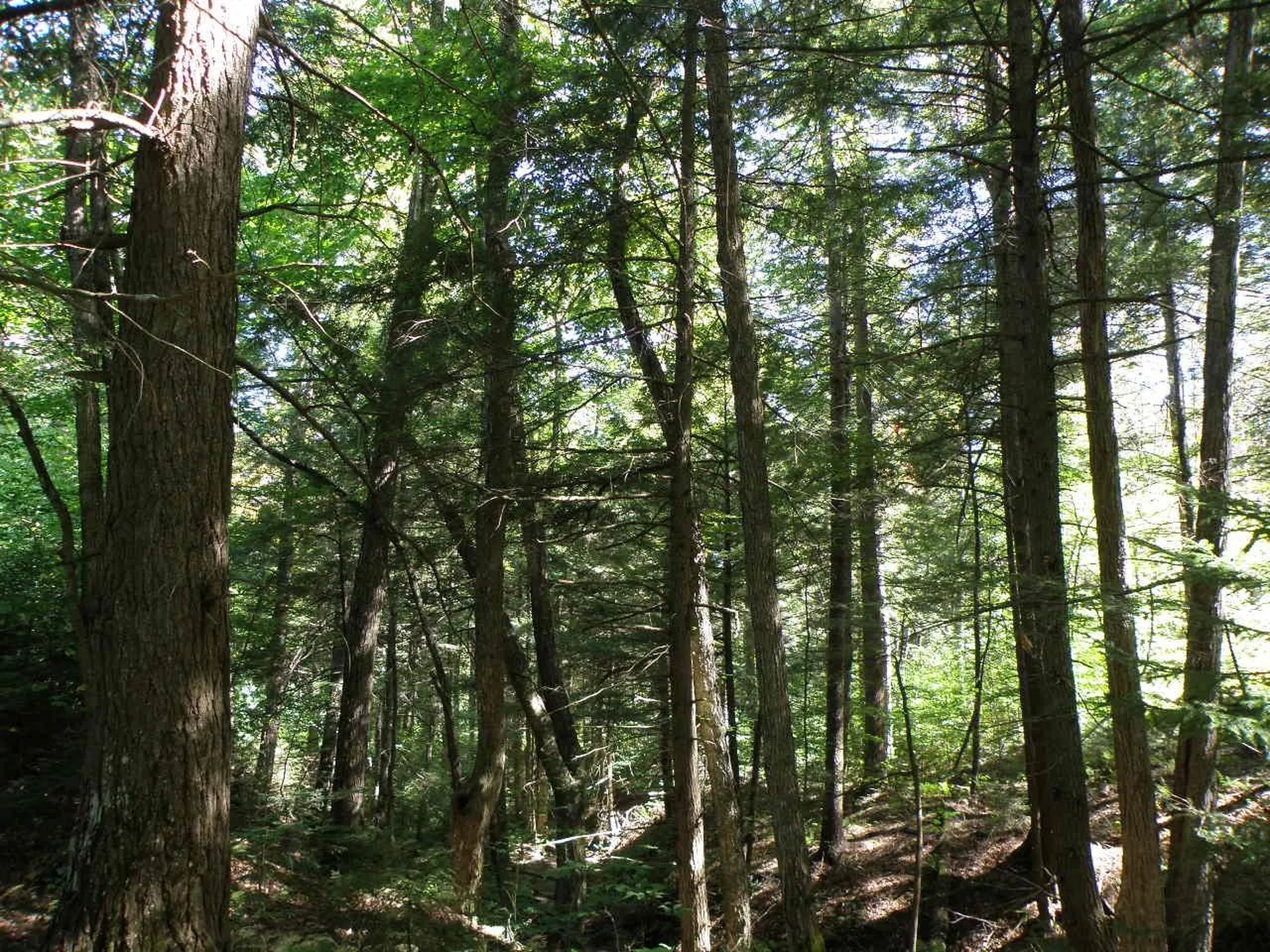 0 Old Stage Road Bethel VT 05032