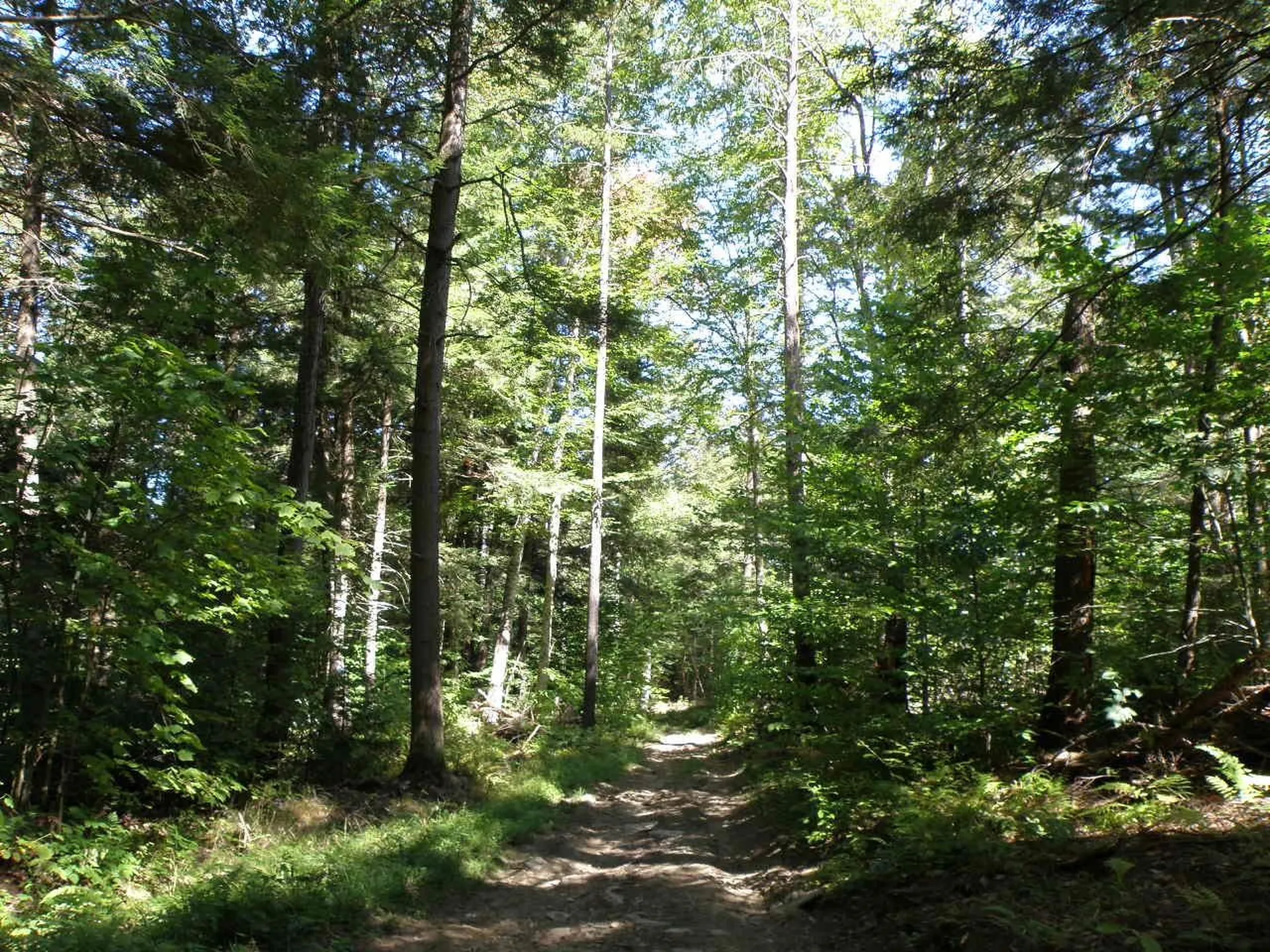 0 Old Stage Road Bethel VT 05032
