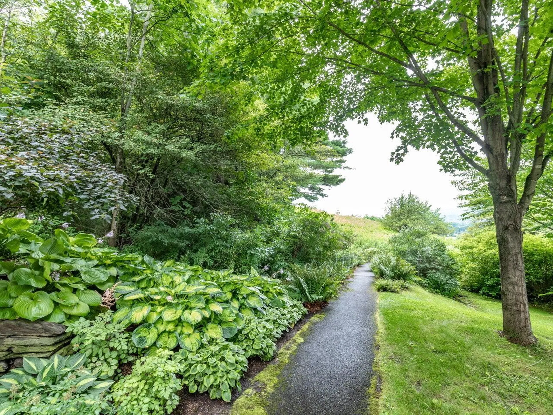 12 Bradley Bow Road Jericho VT 05465