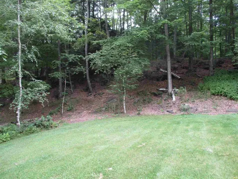 91 Smithers Drive Randolph VT 05060
