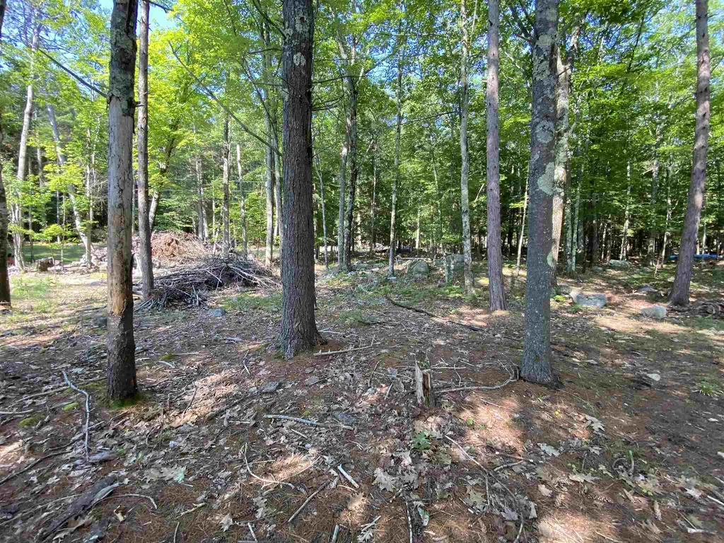 Lot I03, 15a-b Bear Island Meredith NH 03253