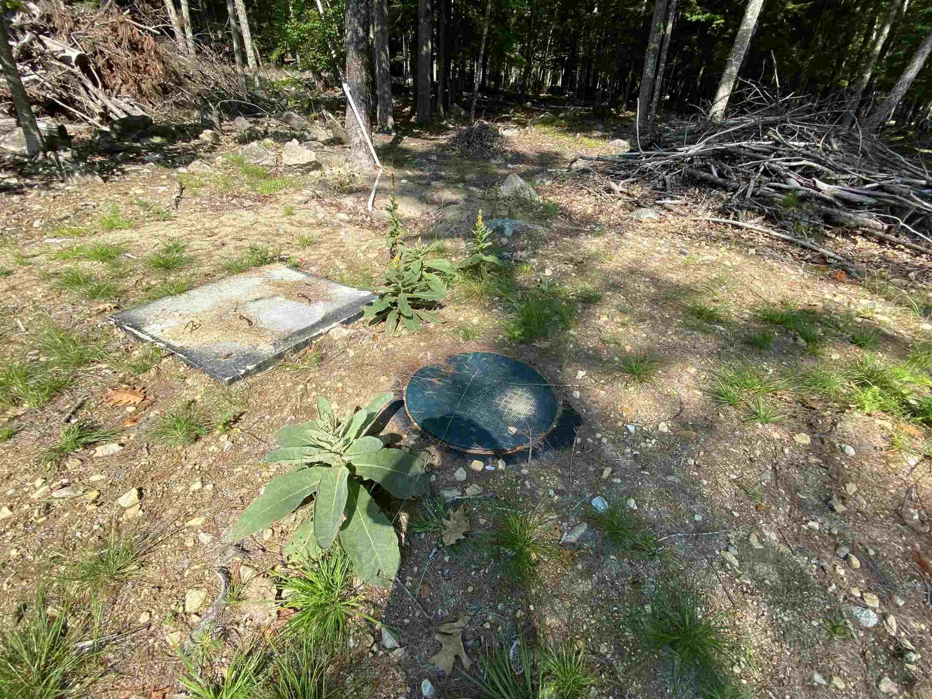 Lot I03, 15a-b Bear Island Meredith NH 03253