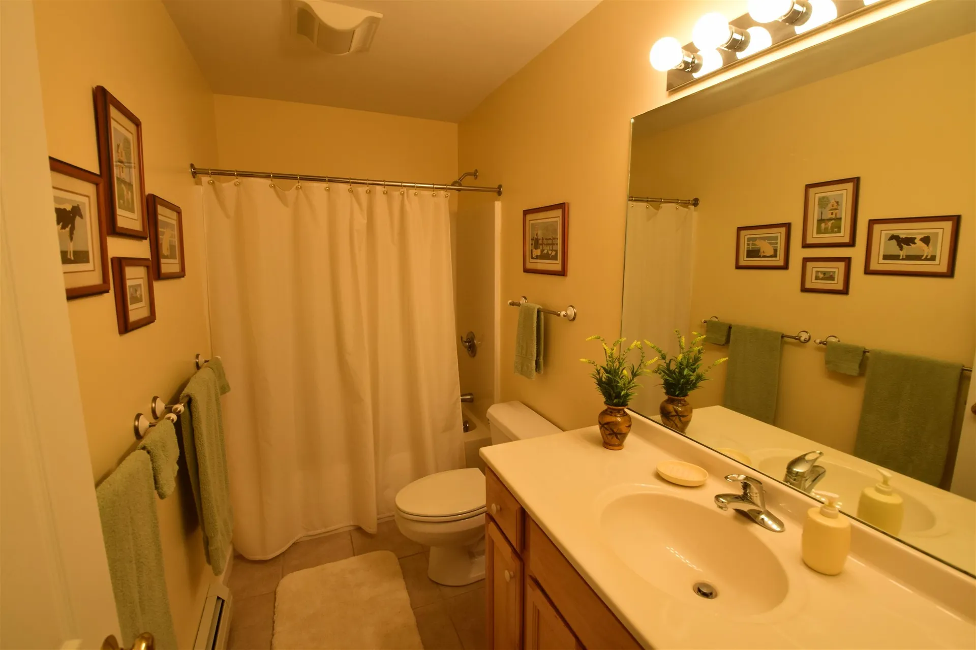 3 Lavoie Drive Essex VT 05452