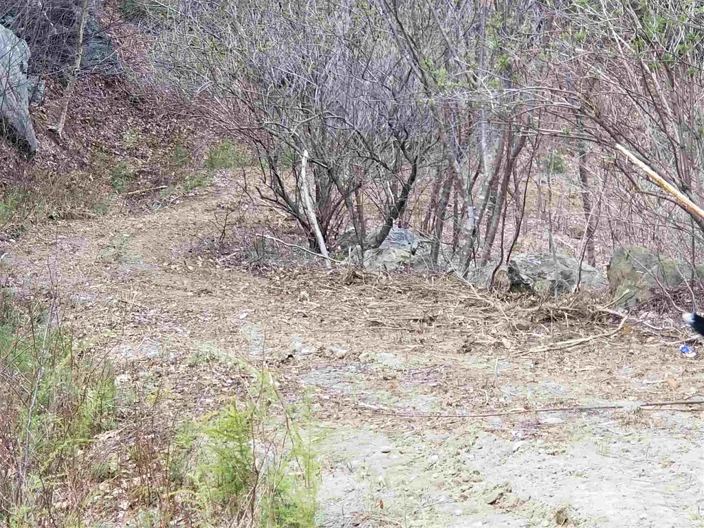 Lot 4 Quarry Road Campton NH 03223