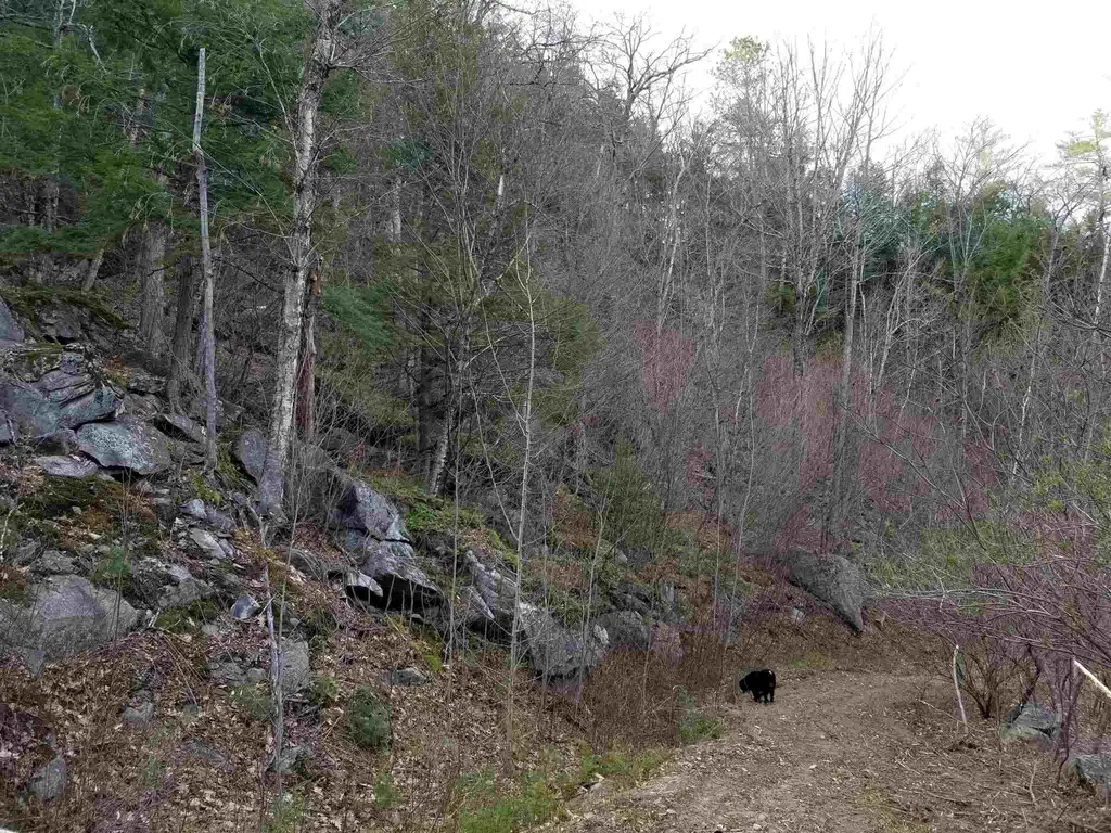 Lot 4 Quarry Road Campton NH 03223